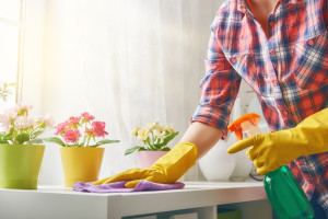 Spring Cleaning Services Spring Cleaning Services