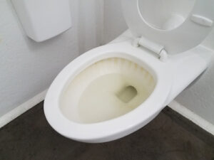 How to Remove Hard Water Stains From a Toilet, Step-by-Step